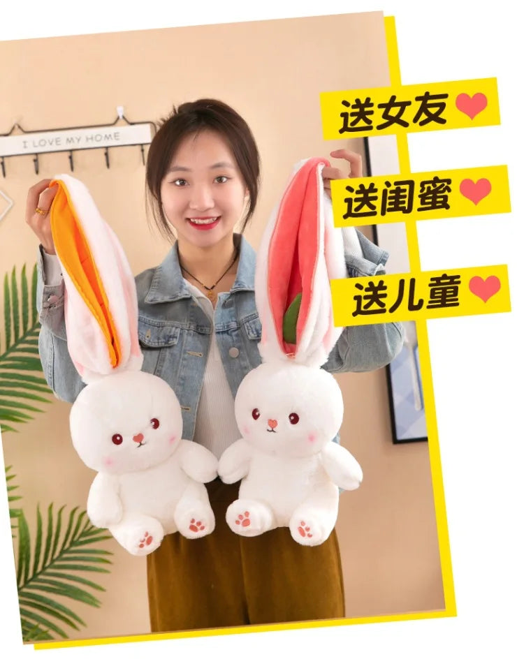 Transform Bunny Plushy